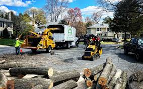 Lawn Renovation and Restoration in East Peoria, IL